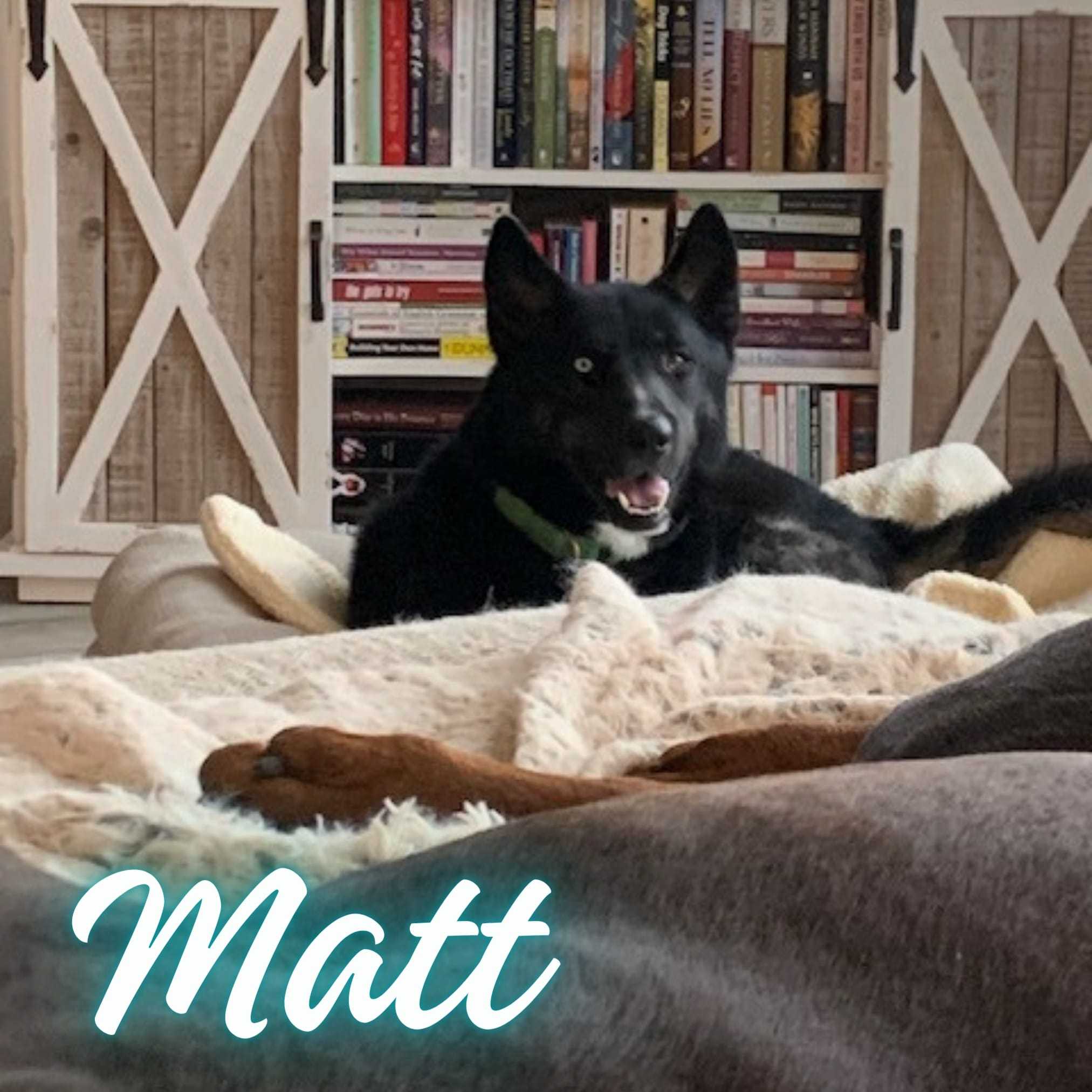 May be an image of one or more people, dog and text that says 'S Matt'