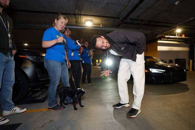 adoptable puppy posing with Steph Curry