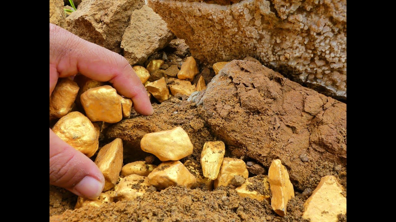 Digging for treasure worth million from huge gold nuggets at mountain.