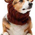 Grizzly Bear Zoo Snood