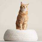 tuft+paw Puff Modern Cat Bed