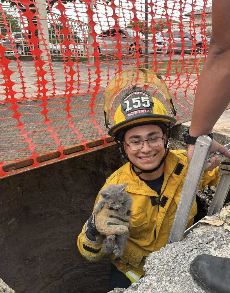 Firefighter in yellow uniform holding gray kitten at the top of a ladder