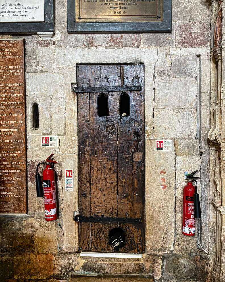 World's oldest cat door